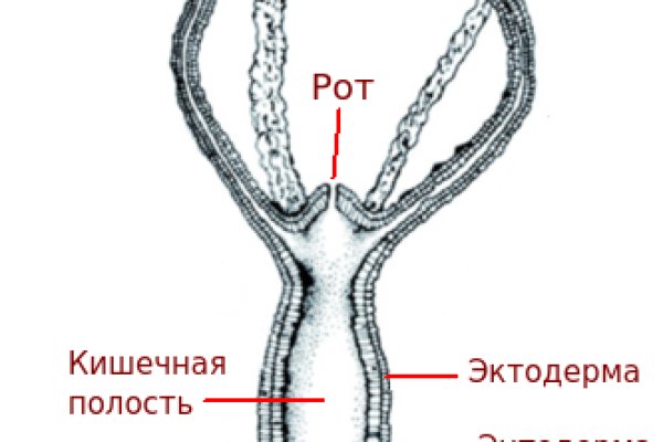 Где брать ссылки на кракен